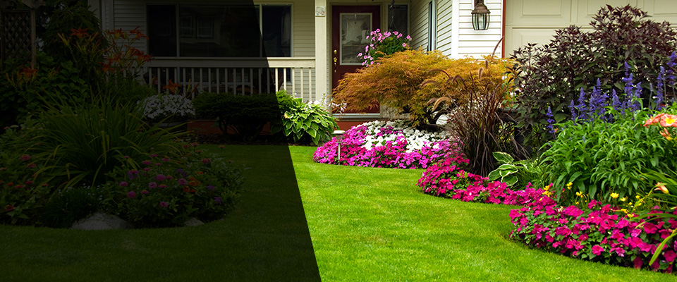 Mesa Landscapers