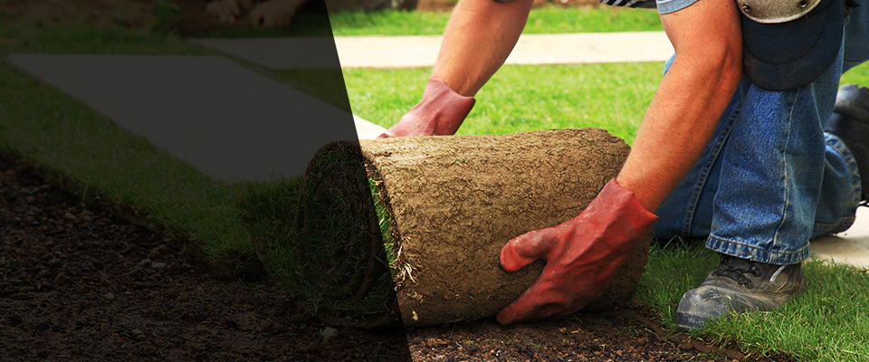Mesa Landscapers